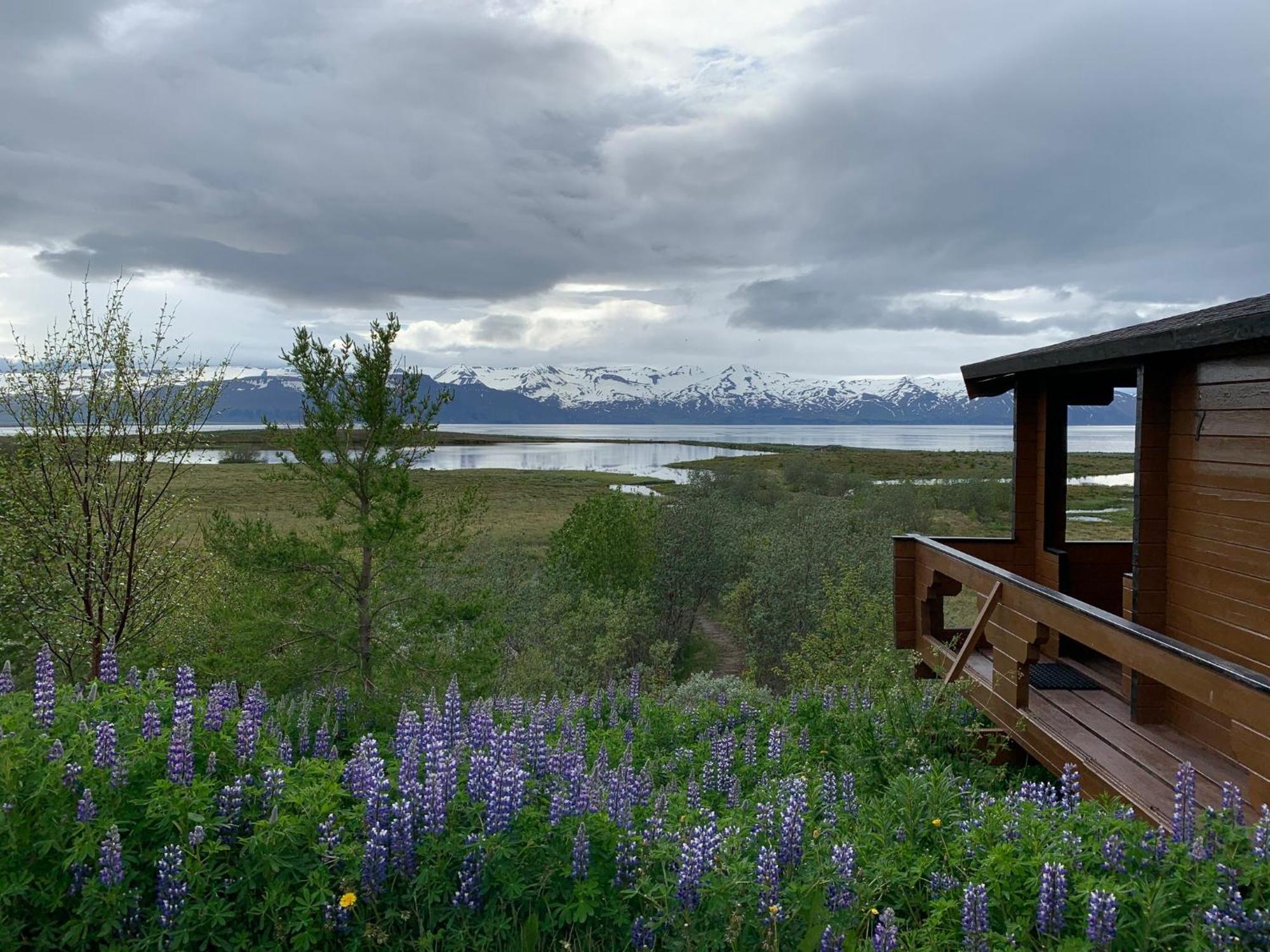 Kaldbaks-Kot Cottages Húsavík 외부 사진